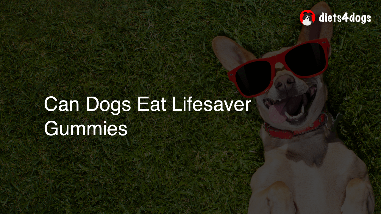 Can Dogs Eat Lifesaver Gummies