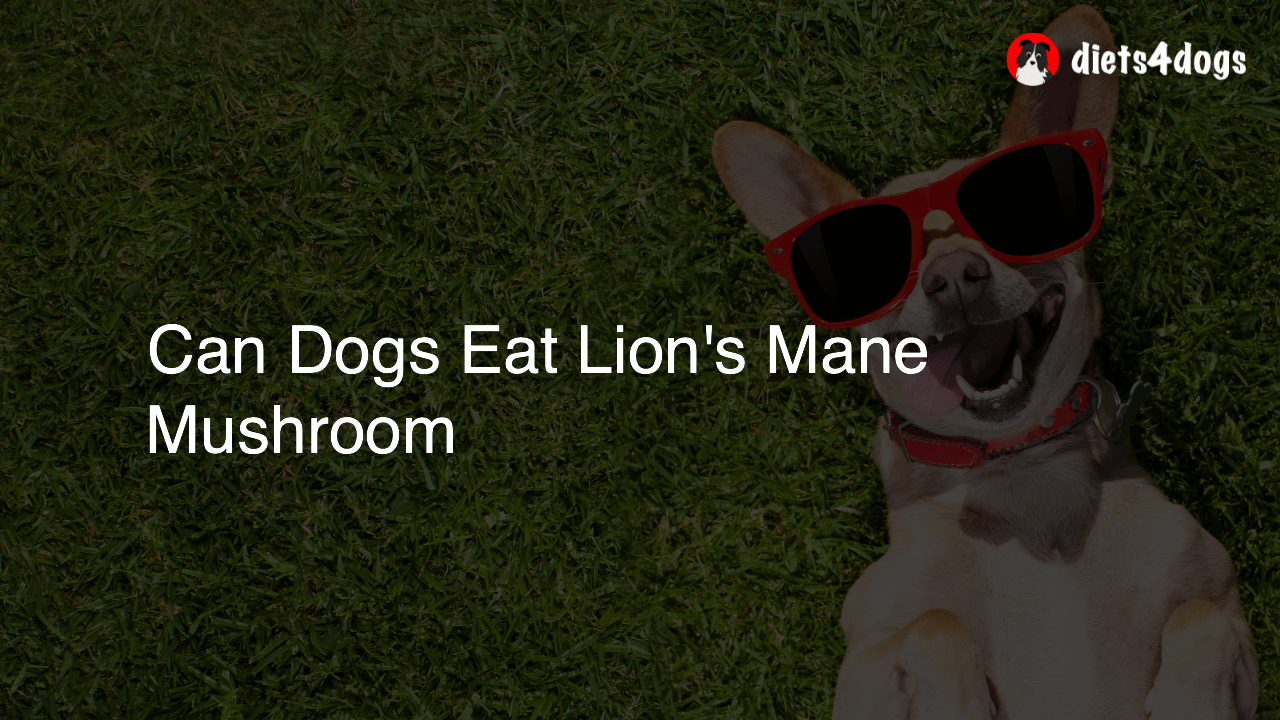 Can Dogs Eat Lion’s Mane Mushroom