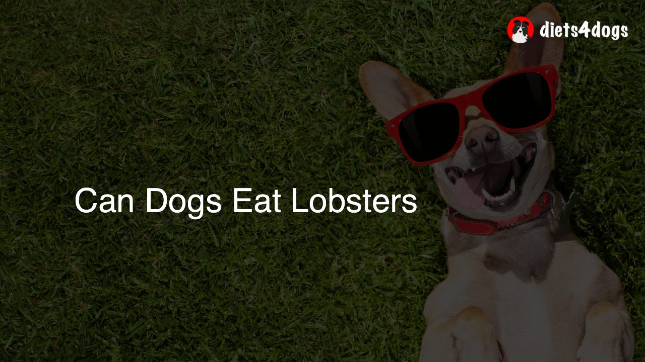 Can Dogs Eat Lobsters
