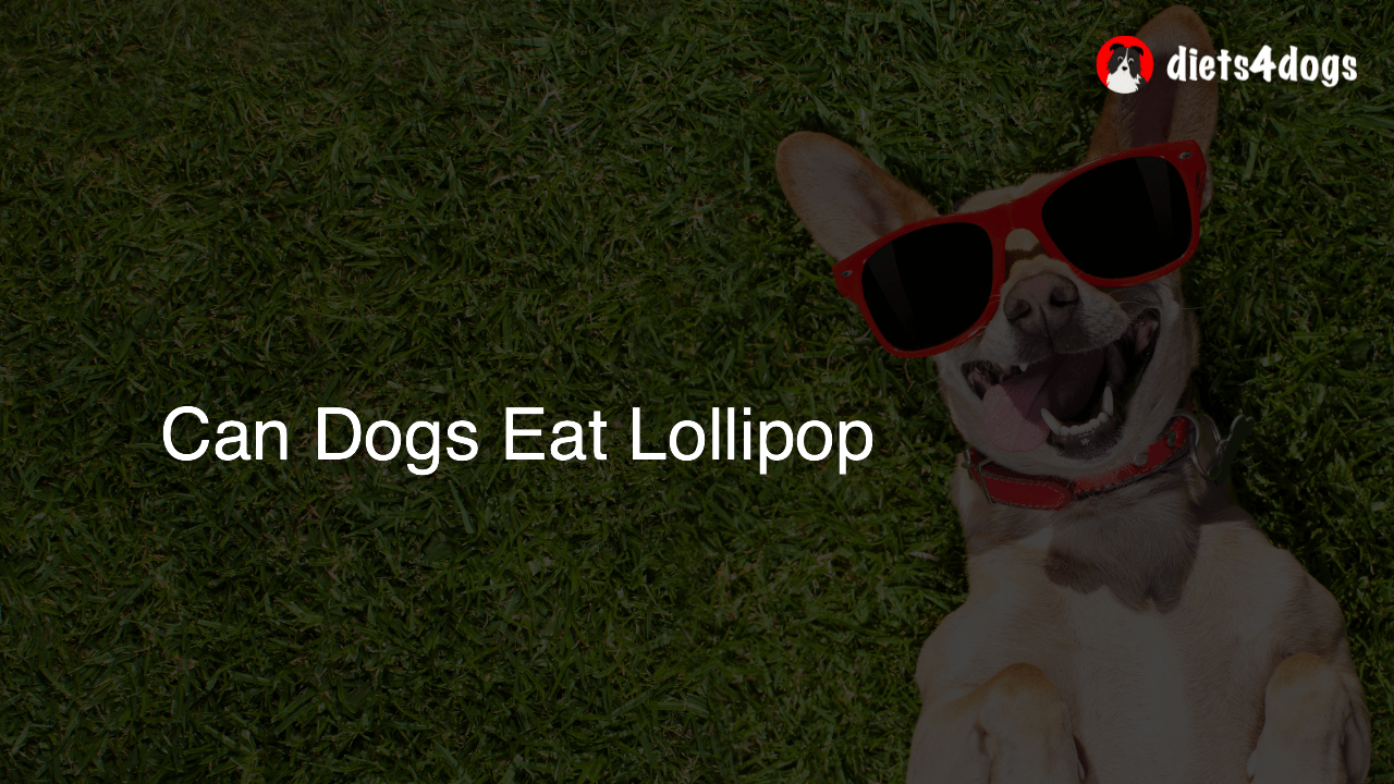 Can Dogs Eat Lollipop