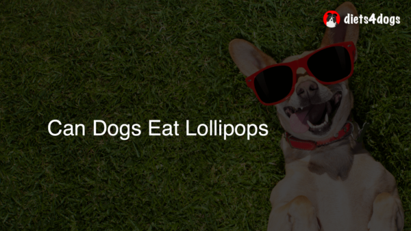 Can Dogs Eat Lollipops