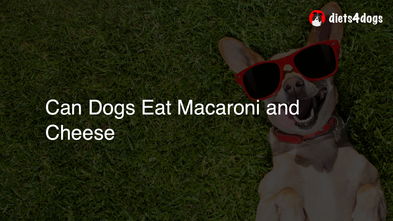 Can Dogs Eat Macaroni and Cheese