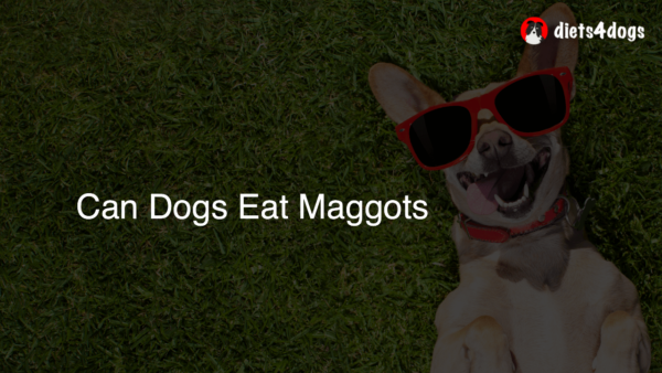 Can Dogs Eat Maggots