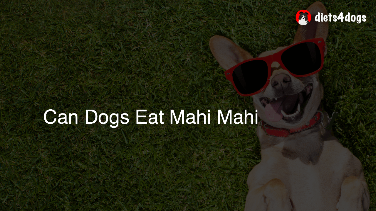 Can Dogs Eat Mahi Mahi