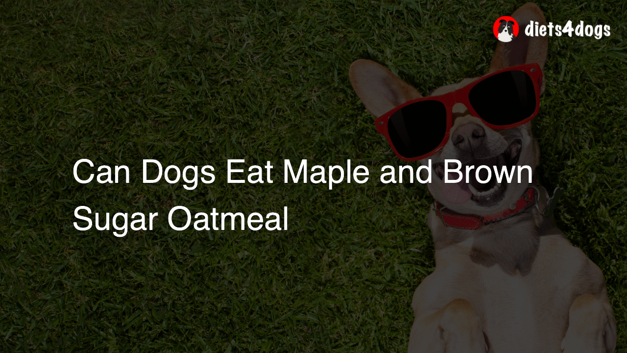 Can Dogs Eat Maple and Brown Sugar Oatmeal
