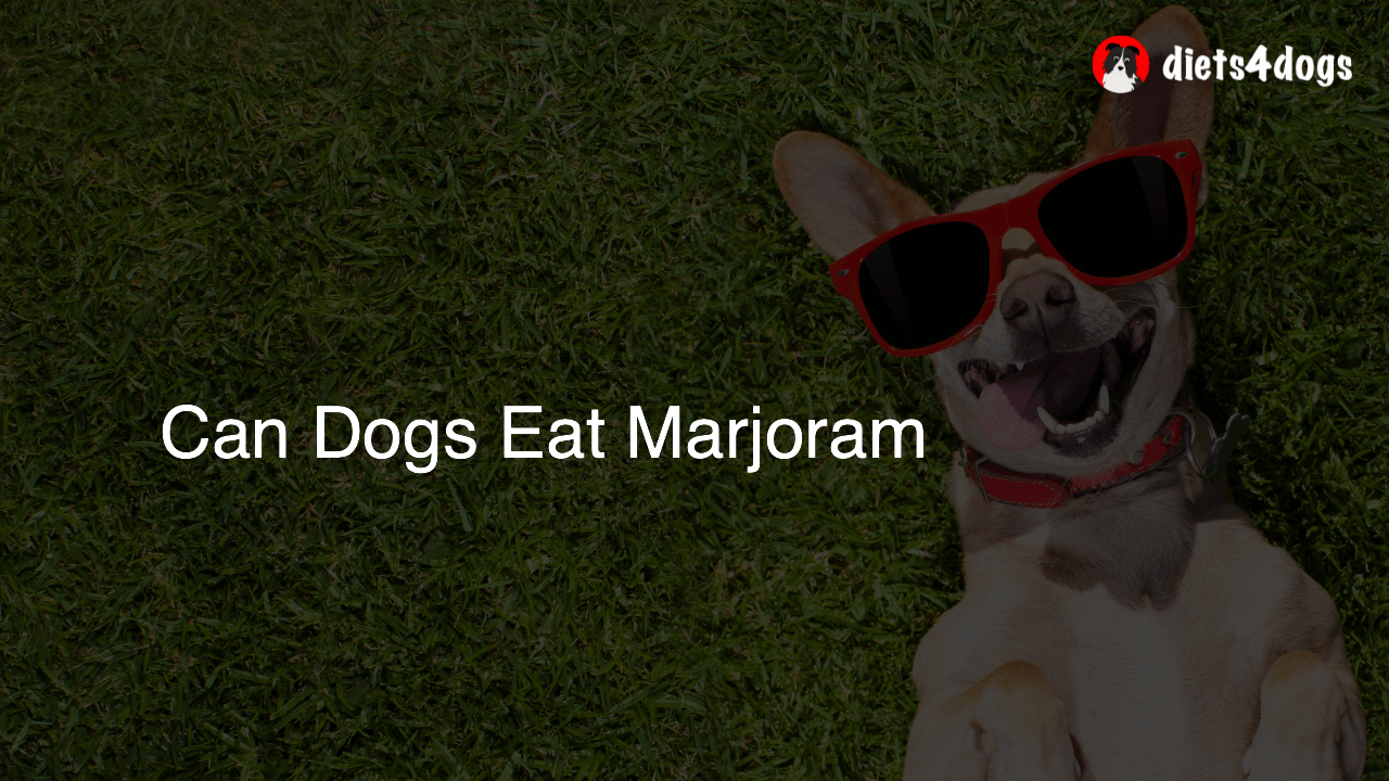 Can Dogs Eat Marjoram