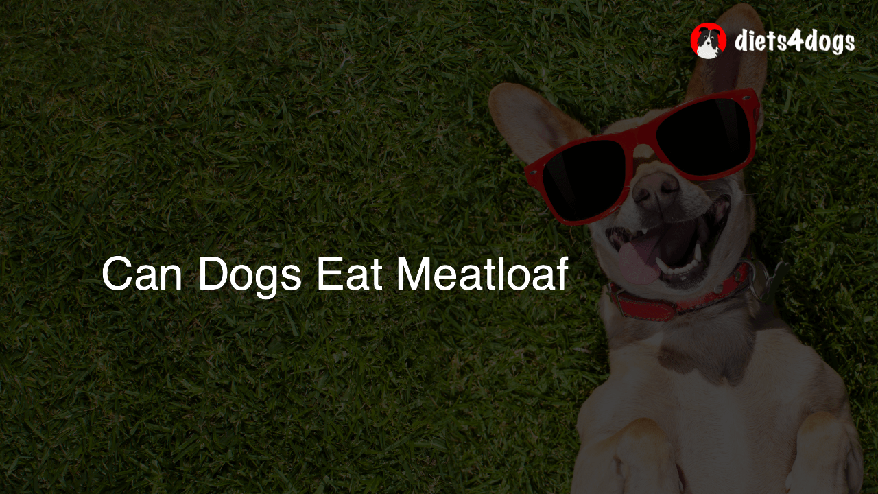 Can Dogs Eat Meatloaf