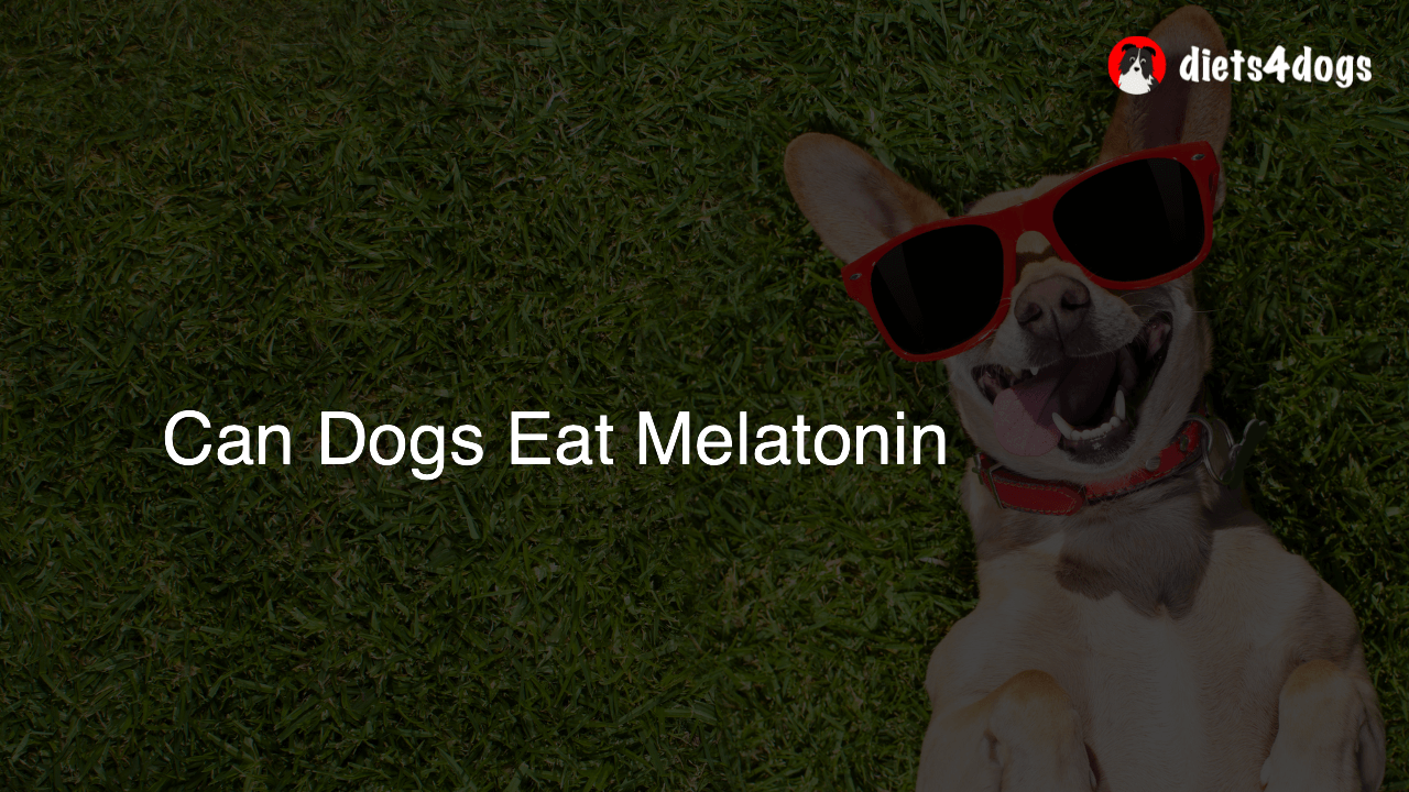 Can Dogs Eat Melatonin