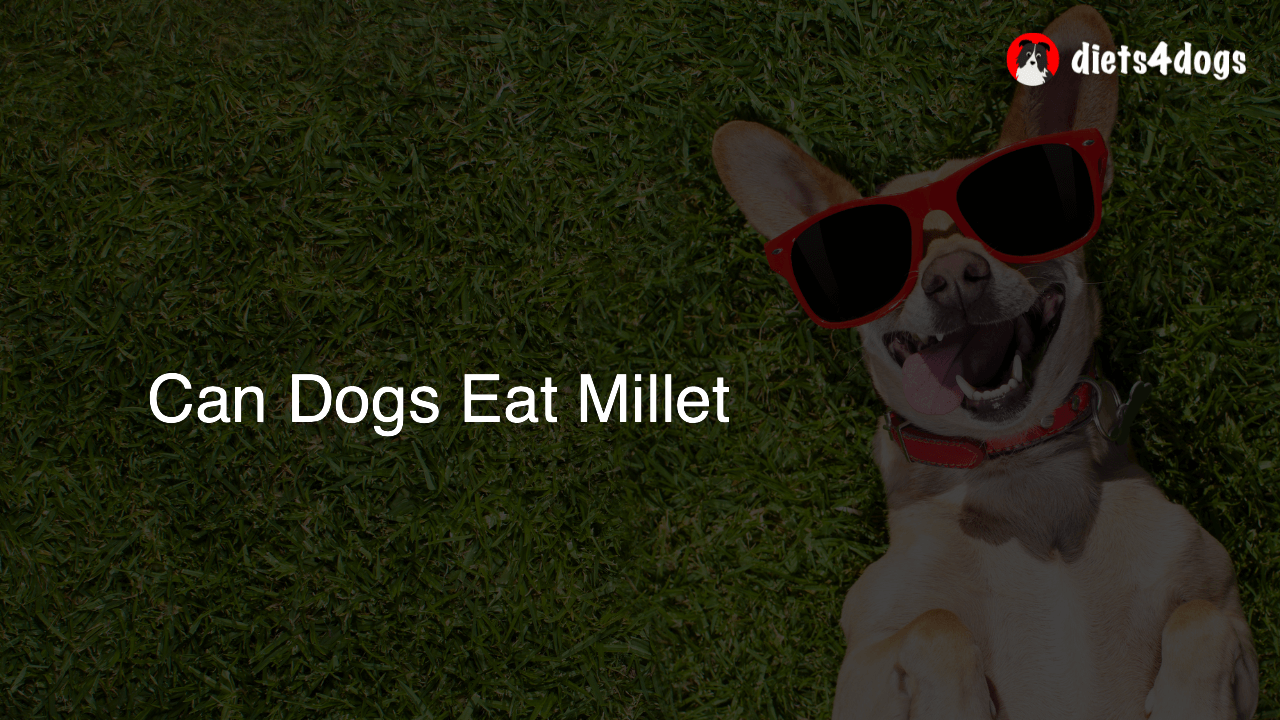 Can Dogs Eat Millet