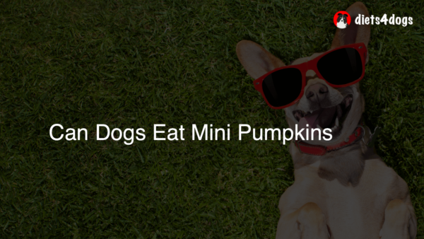 Can Dogs Eat Mini Pumpkins