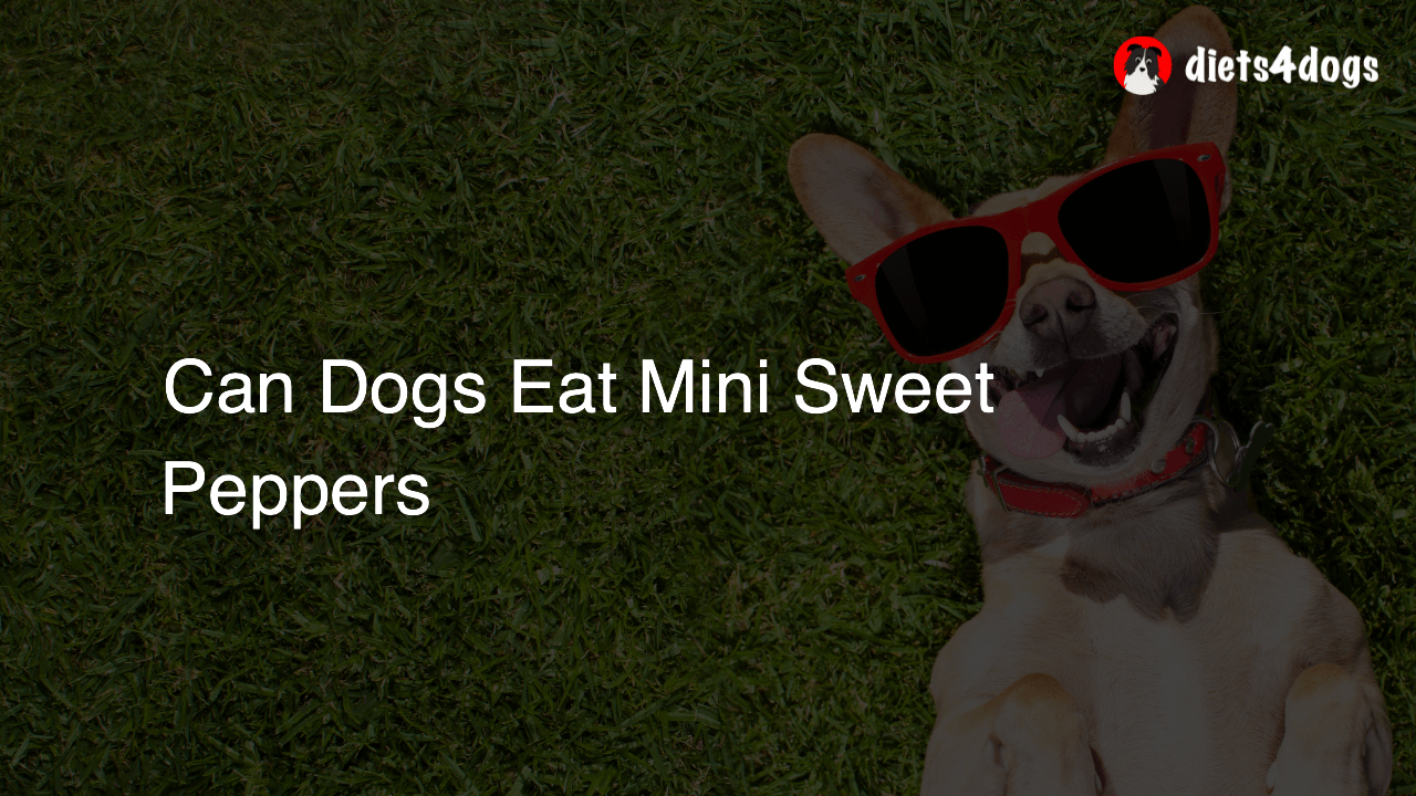 Can Dogs Eat Mini Sweet Peppers