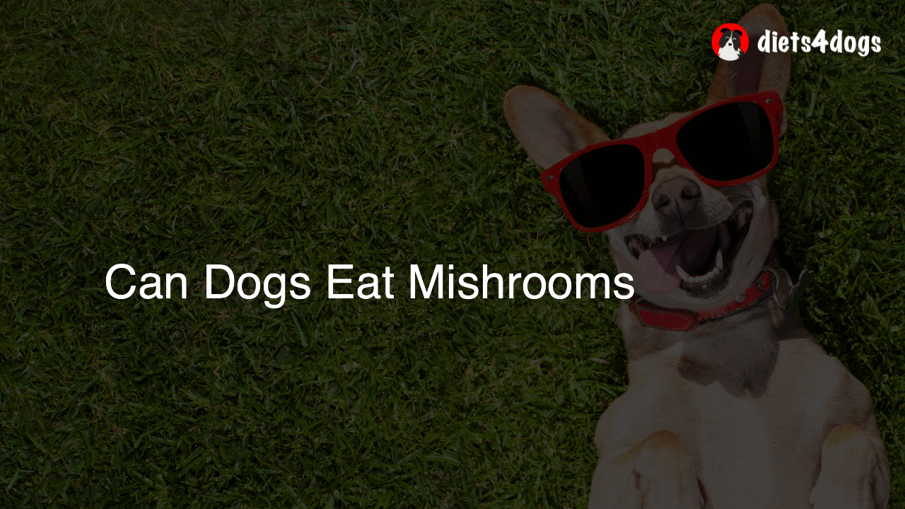 Can Dogs Eat Mishrooms