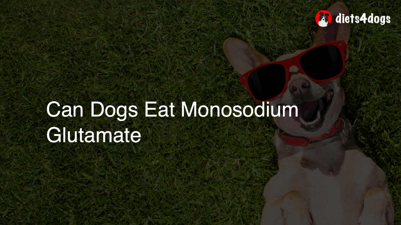 Can Dogs Eat Monosodium Glutamate
