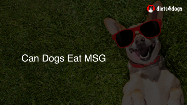 Can Dogs Eat MSG