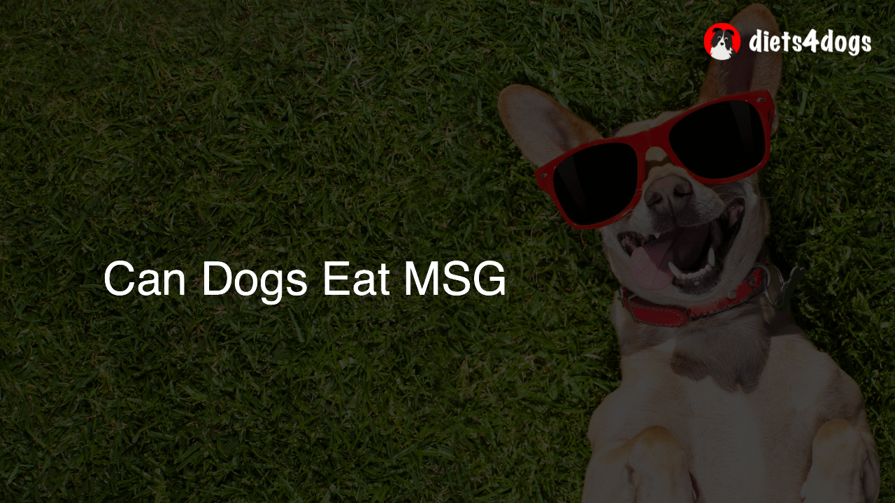 Can Dogs Eat MSG