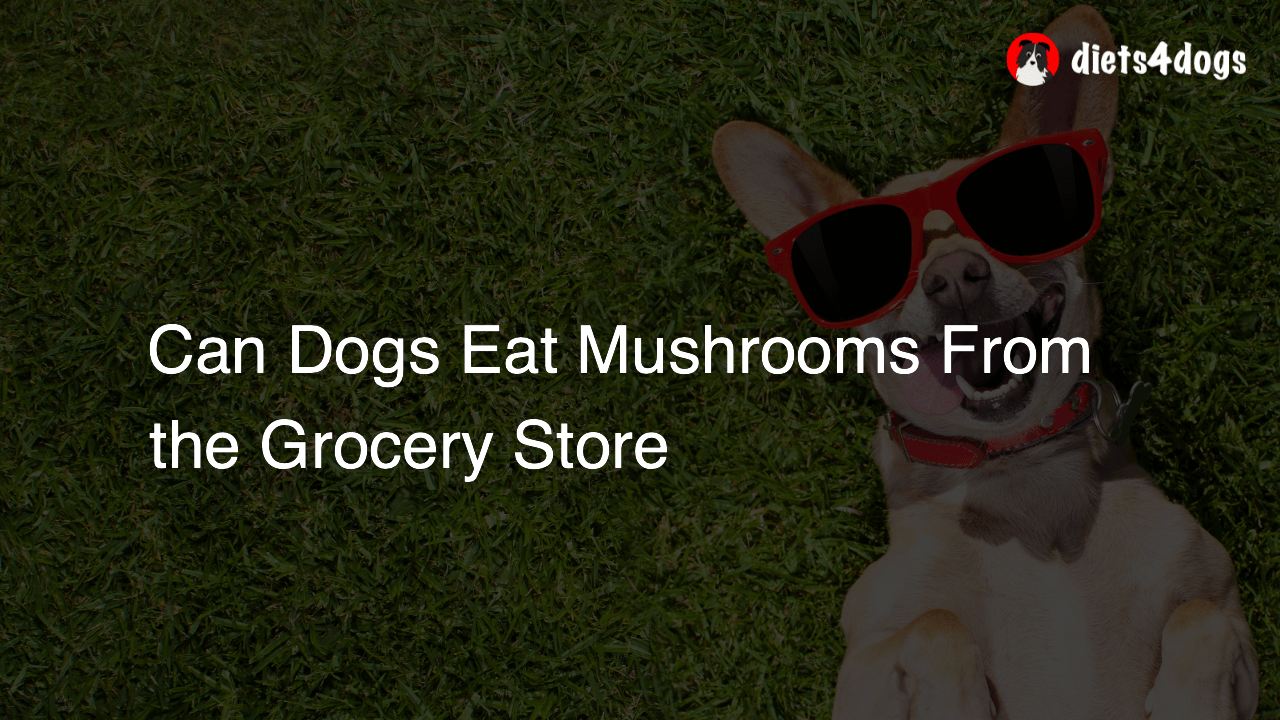 Can Dogs Eat Mushrooms From the Grocery Store