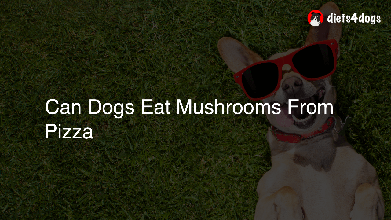 Can Dogs Eat Mushrooms From Pizza