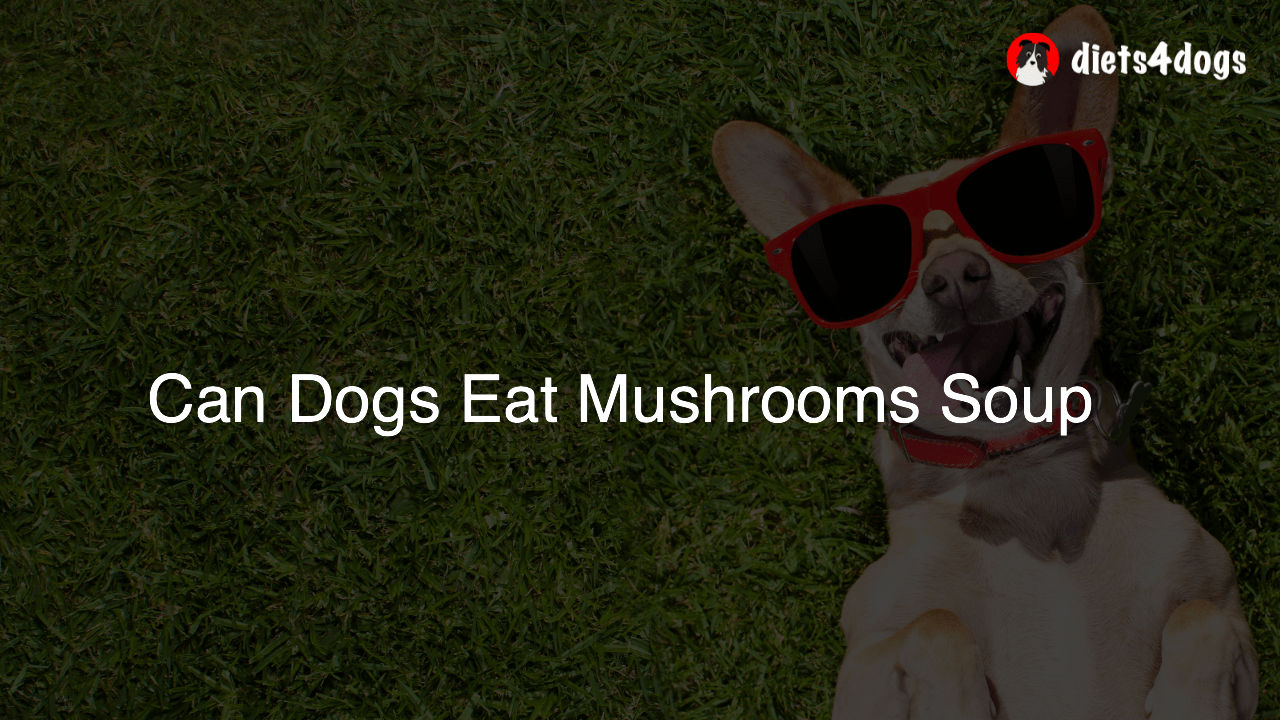 Can Dogs Eat Mushrooms Soup