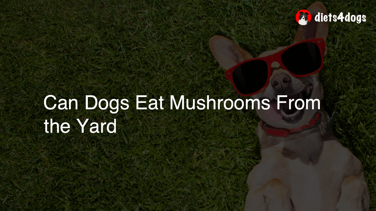 Can Dogs Eat Mushrooms From the Yard