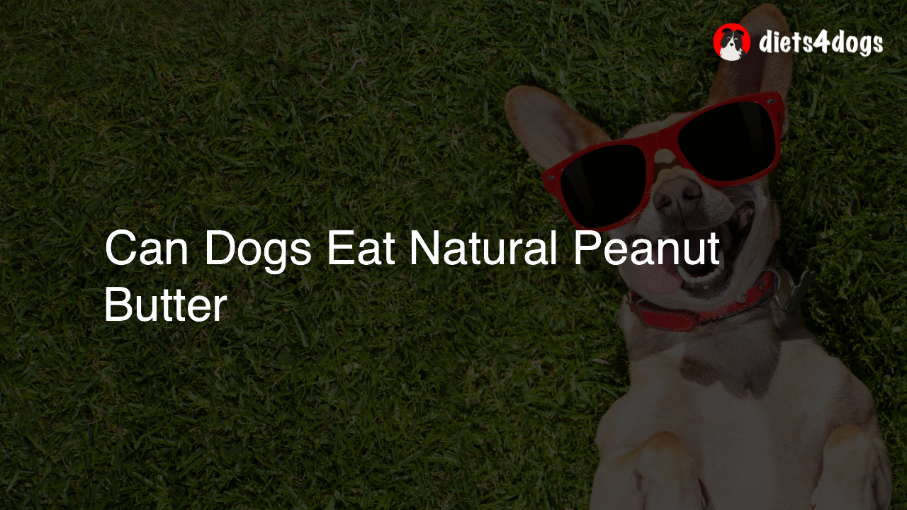 Can Dogs Eat Natural Peanut Butter