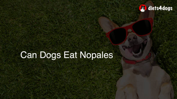 Can Dogs Eat Nopales