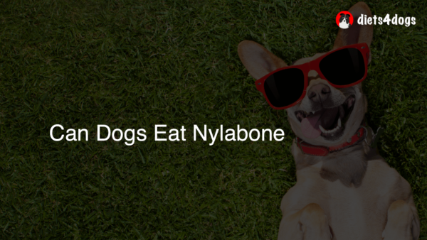 Can Dogs Eat Nylabone