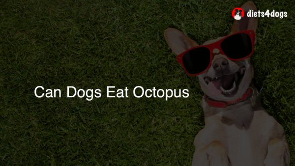 Can Dogs Eat Octopus