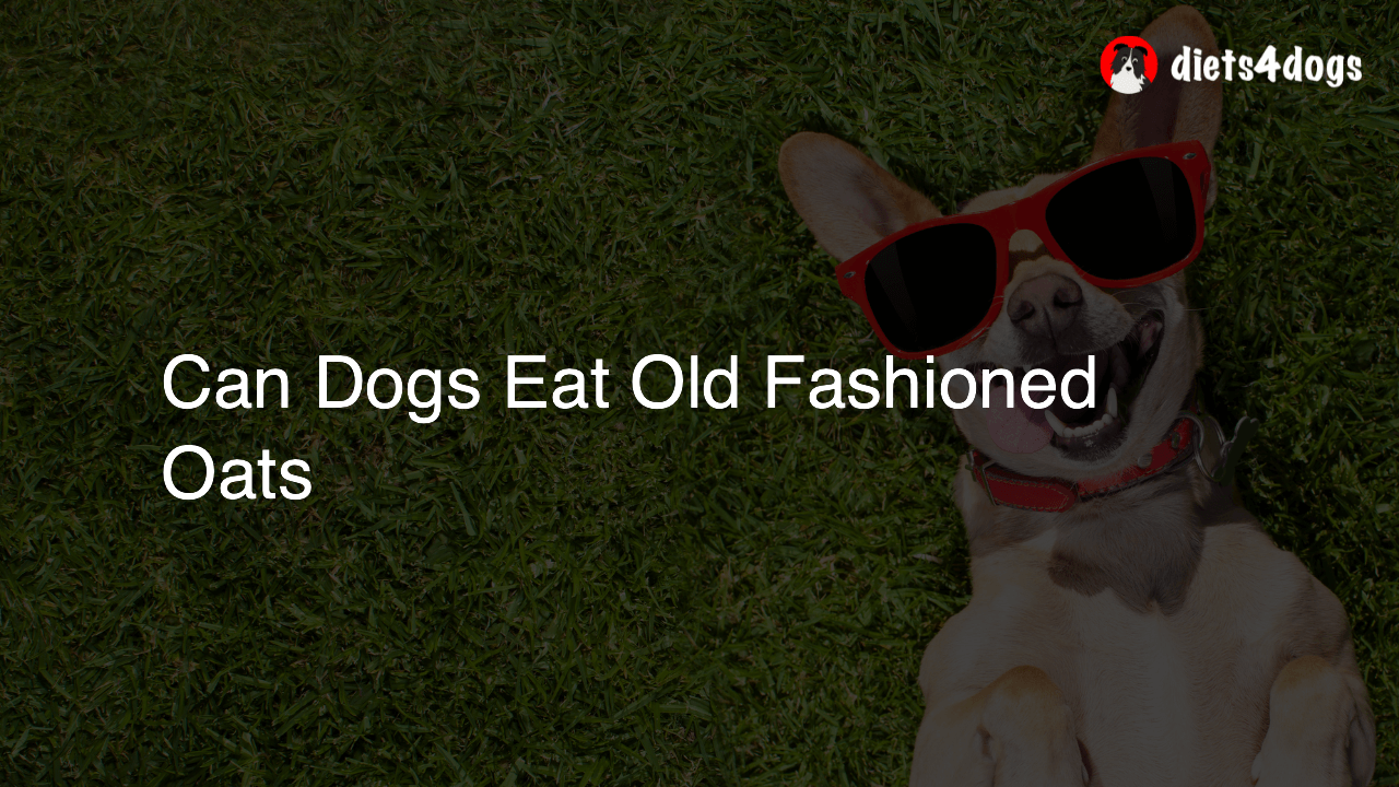 Can Dogs Eat Old Fashioned Oats