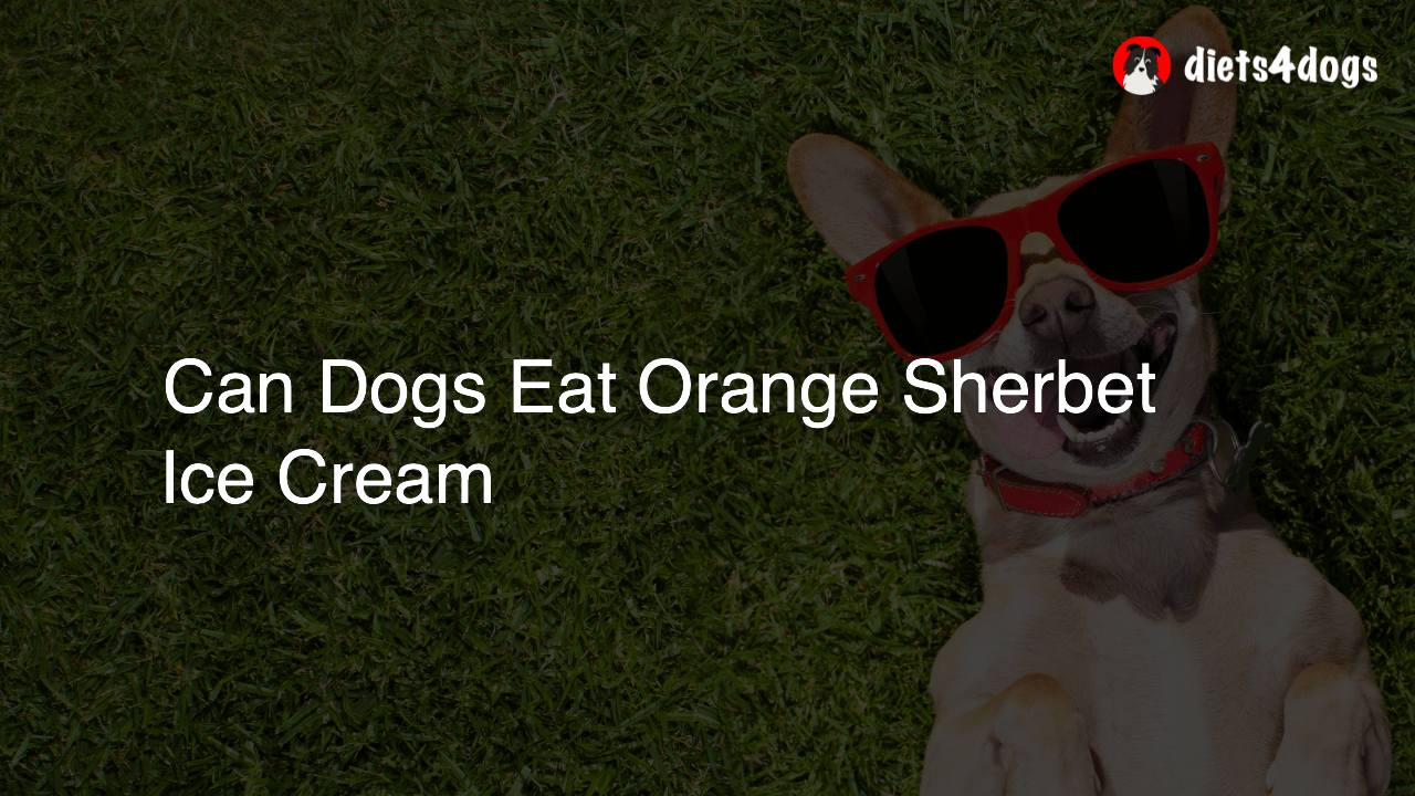 Can Dogs Eat Orange Sherbet Ice Cream