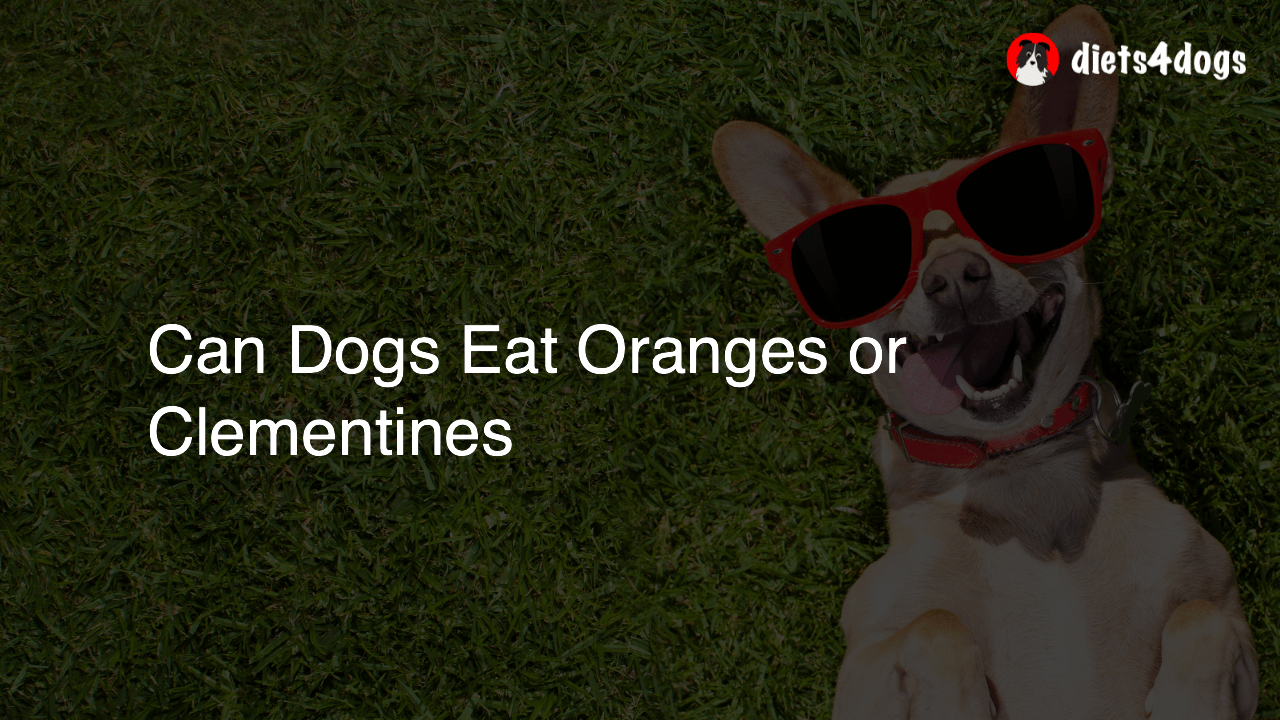 Can Dogs Eat Oranges or Clementines