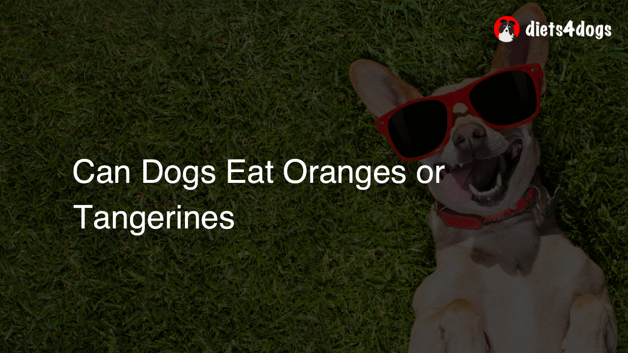Can Dogs Eat Oranges or Tangerines