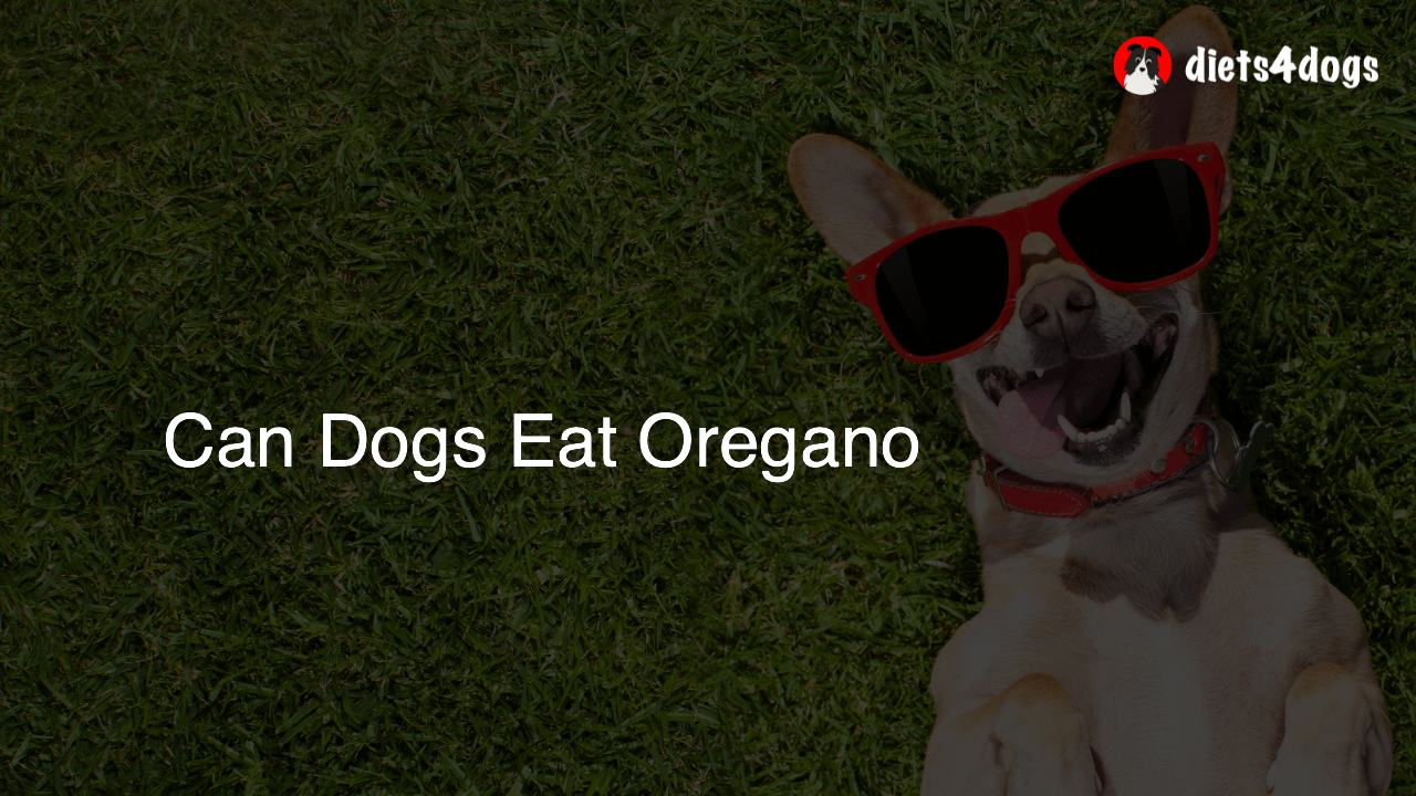 Can Dogs Eat Oregano