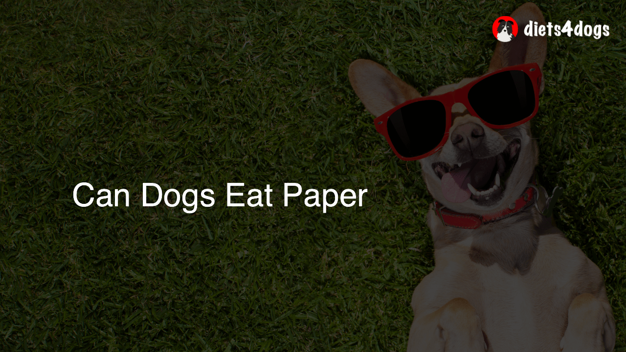 Can Dogs Eat Paper