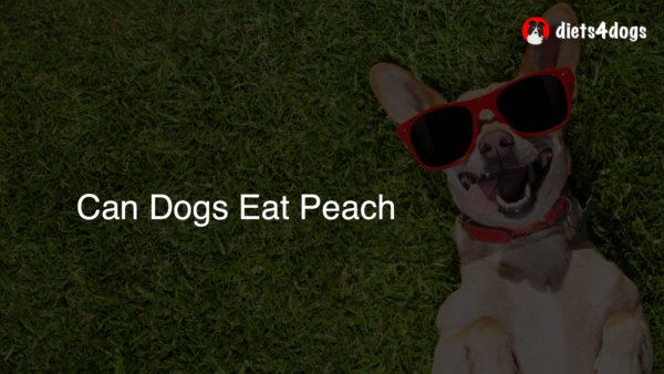 Can Dogs Eat Peach