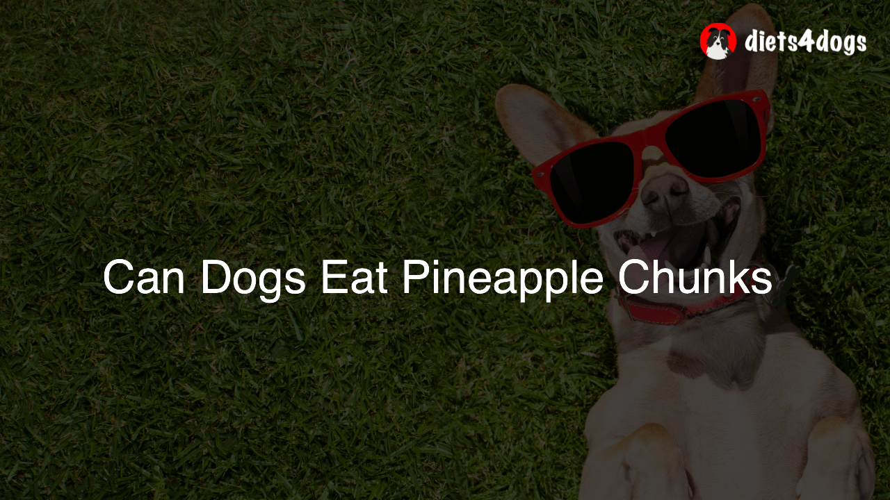 Can Dogs Eat Pineapple Chunks