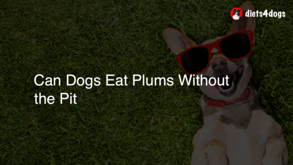 Can Dogs Eat Plums Without the Pit