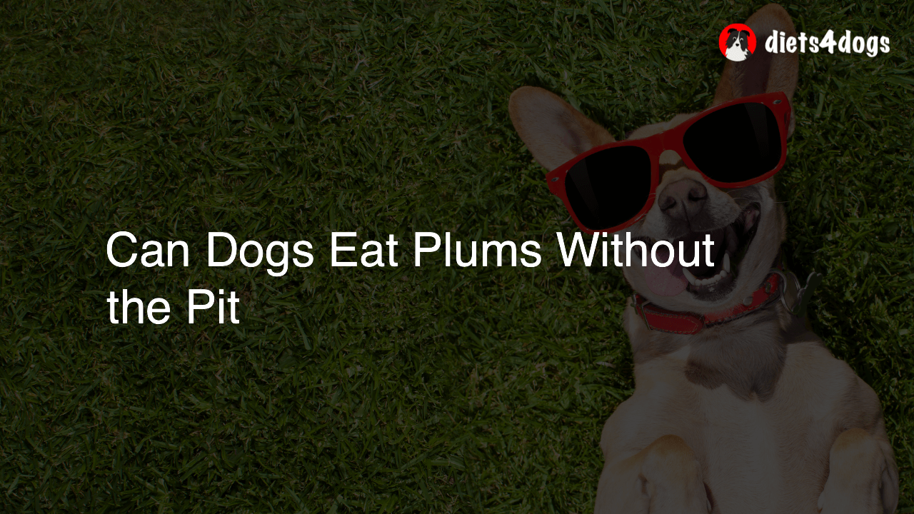 Can Dogs Eat Plums Without the Pit
