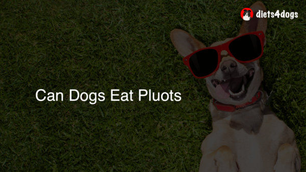 Can Dogs Eat Pluots