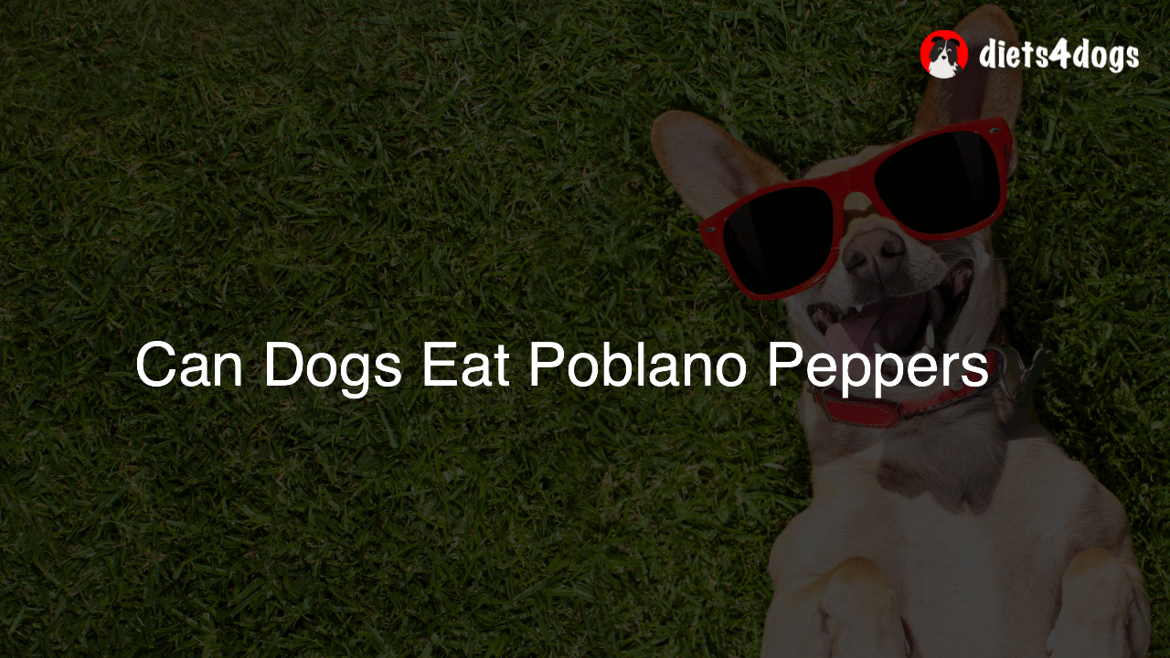 Can Dogs Eat Poblano Peppers