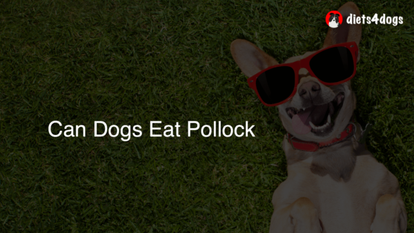 Can Dogs Eat Pollock