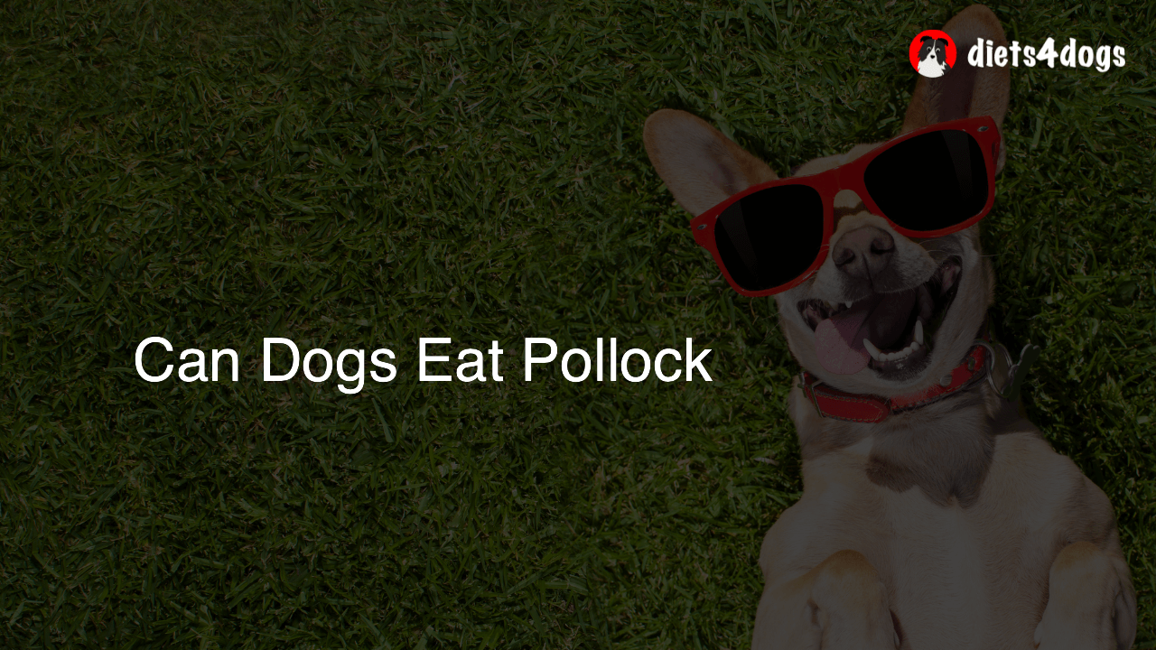 Can Dogs Eat Pollock
