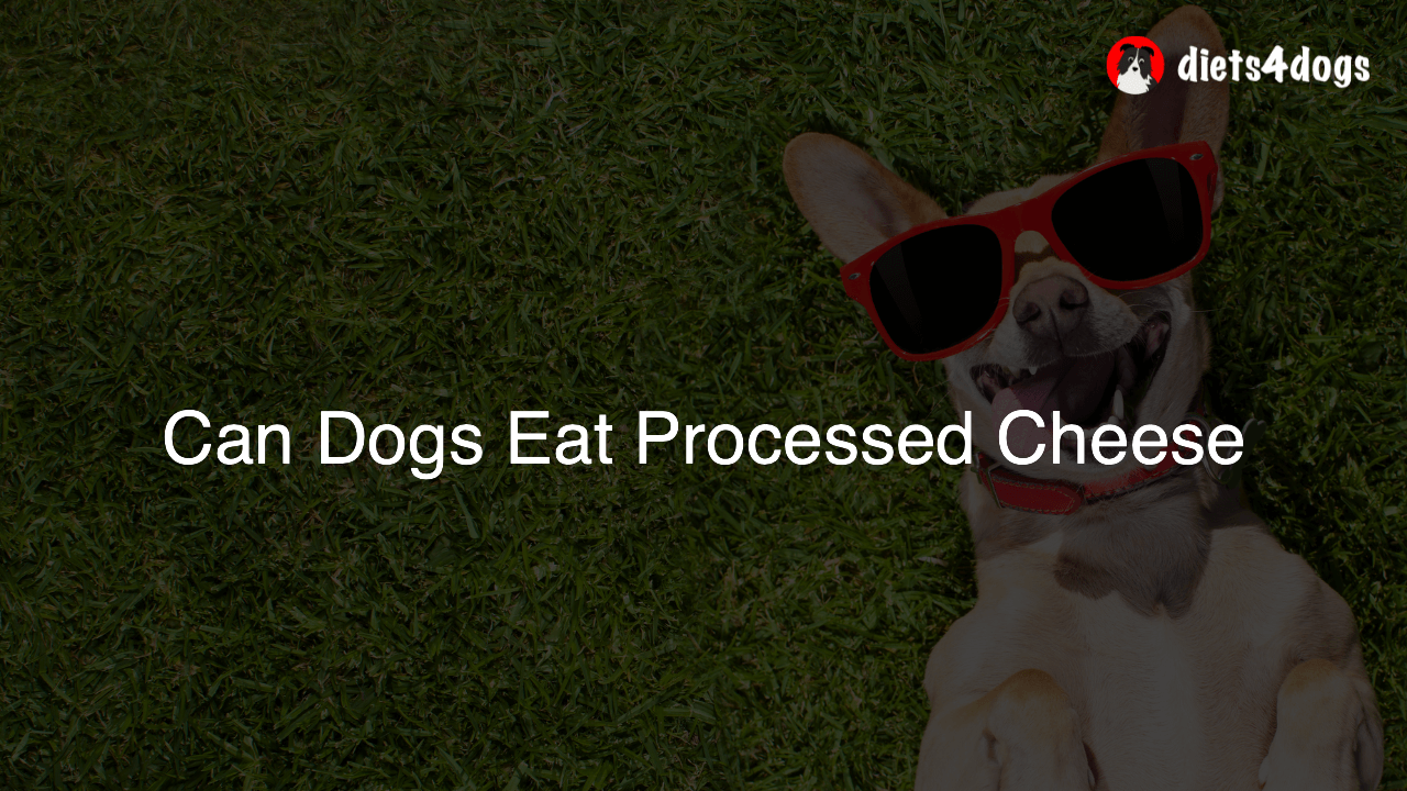 Can Dogs Eat Processed Cheese