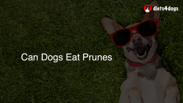 Can Dogs Eat Prunes