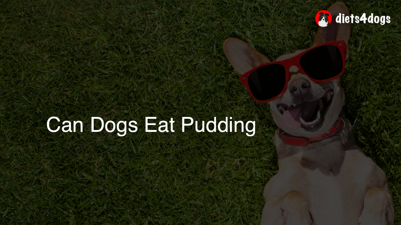 Can Dogs Eat Pudding