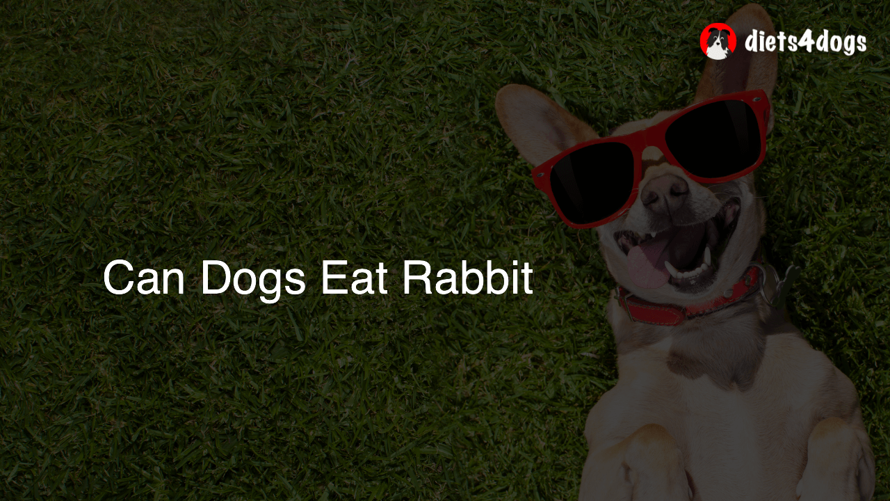 Can Dogs Eat Rabbit