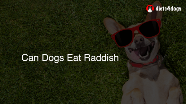 Can Dogs Eat Raddish