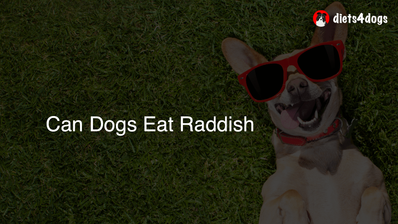Can Dogs Eat Raddish