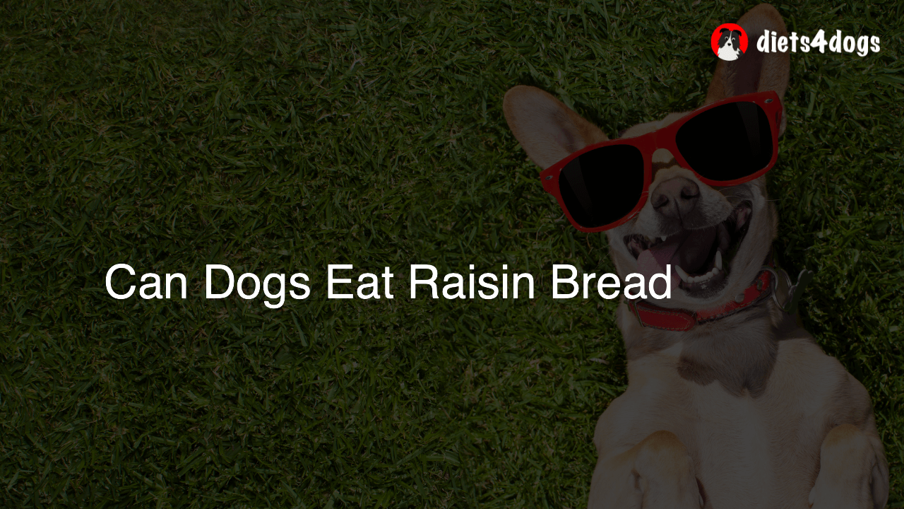 Can Dogs Eat Raisin Bread