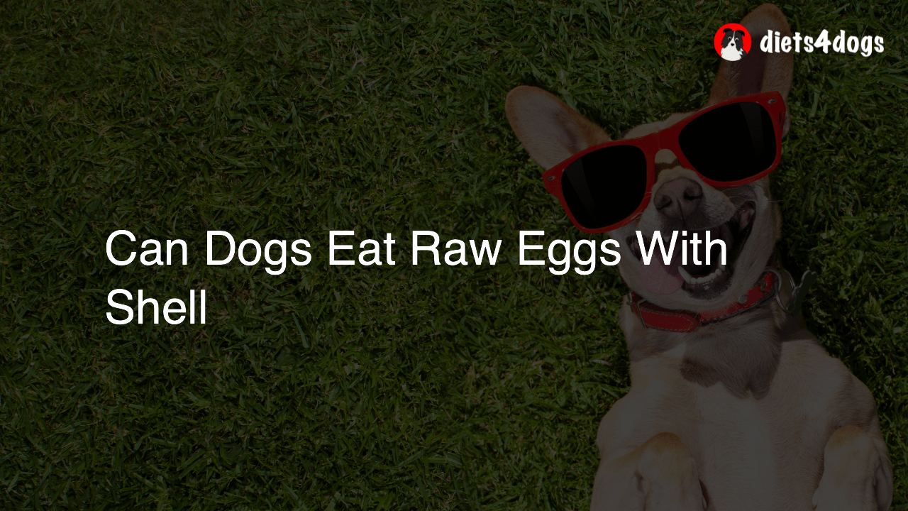 Can Dogs Eat Raw Eggs With Shell