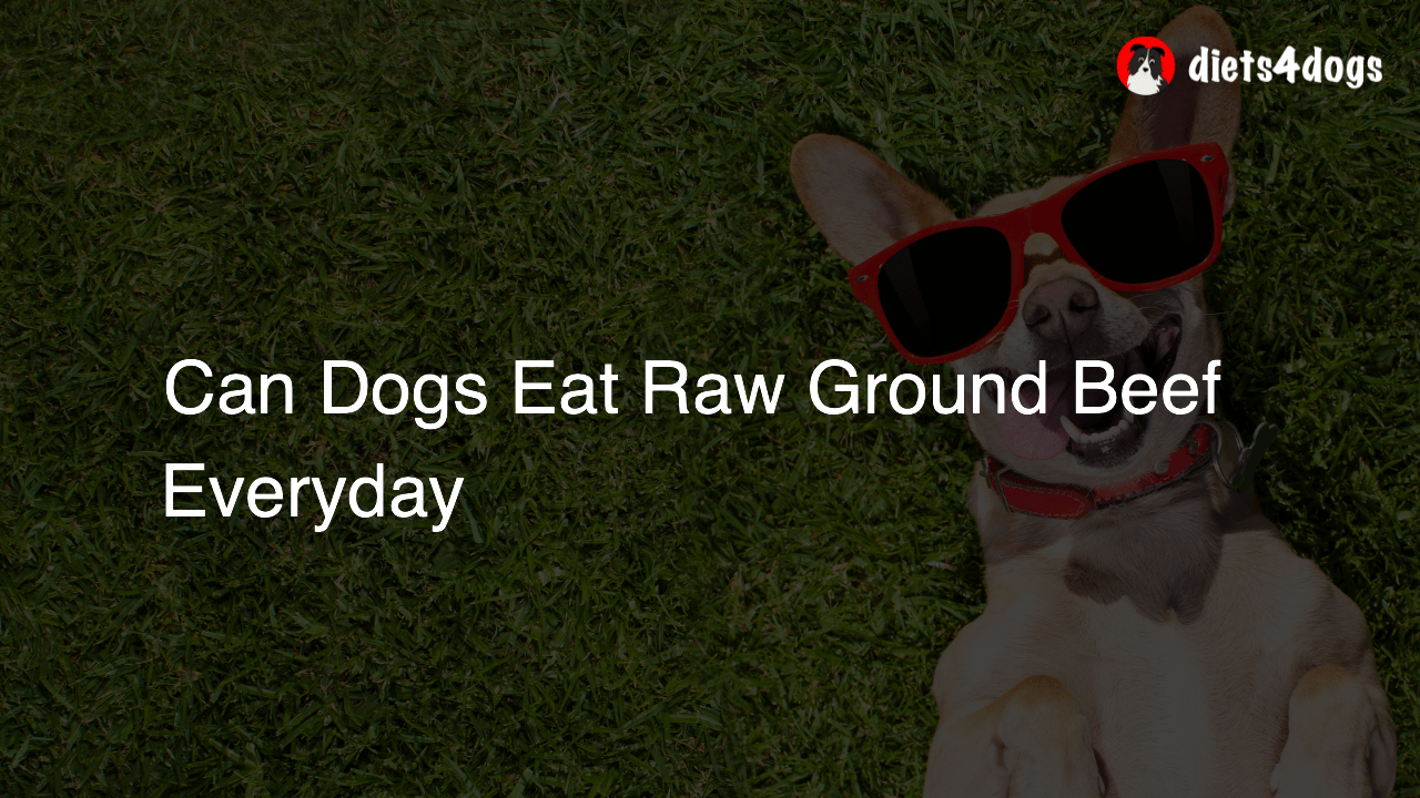 Can Dogs Eat Raw Ground Beef Everyday
